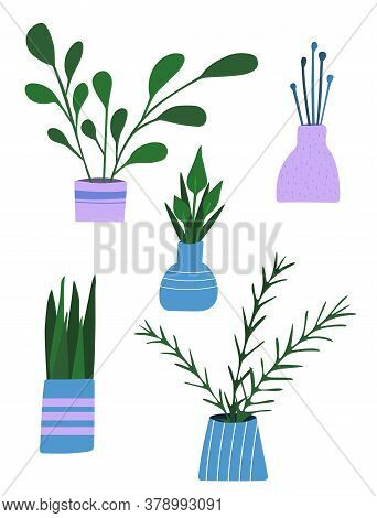 Home Garden. House Plants Collection. Urban Jungle. Cozy Home. Doodle Vector Illustration.