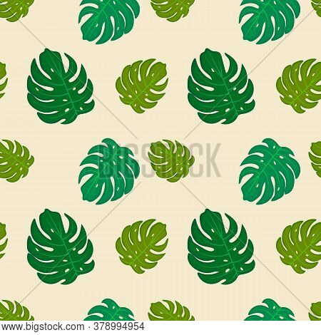 Monstera Vector Pattern On A Light Background