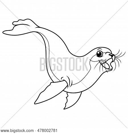 Illustration Of Cartoon Seal Swimming In Line Art