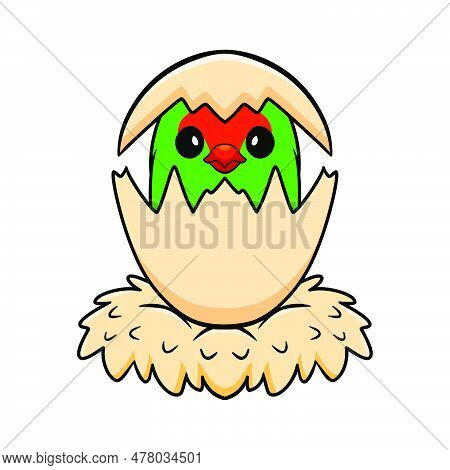 Vector Illustration Of Cute Black Winged Lovebird Cartoon Inside From Egg
