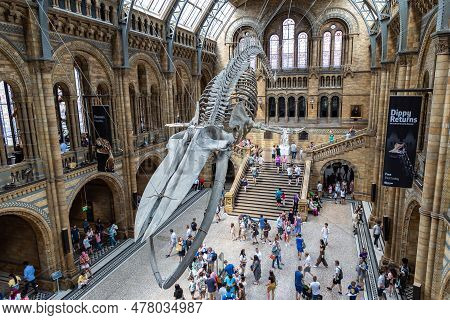 London, Uk - June 18, 2022: Interior Of Natural History Museum Of London And Blue Whale Skeleton In 