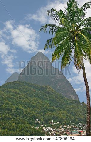 Piton & Palm