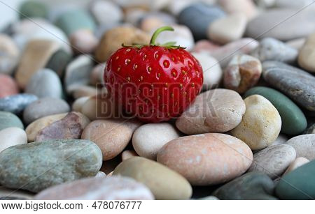 Textured Surface Of Colored Pebbles With Fresh Strawberry On It Closeup Stock Photo