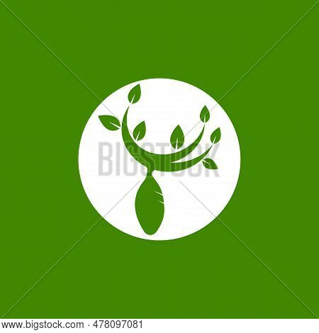 Cocoon Logo Vector Illustration Design Template