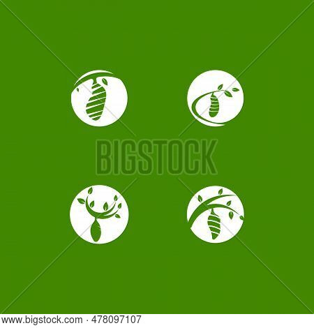 Cocoon Logo Vector Illustration Design Template