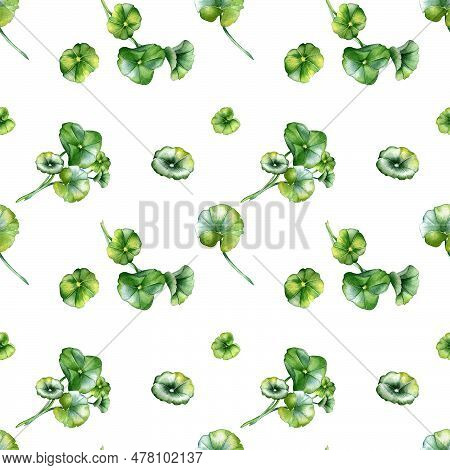 Centella Asiatica, Geranium Watercolor Seamless Pattern Isolated On White. Pennywort, Gotu Kola, Rou