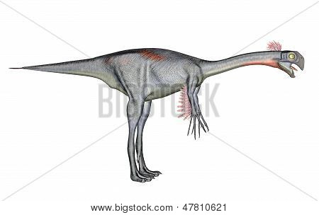 Gigantoraptor dinosaur
