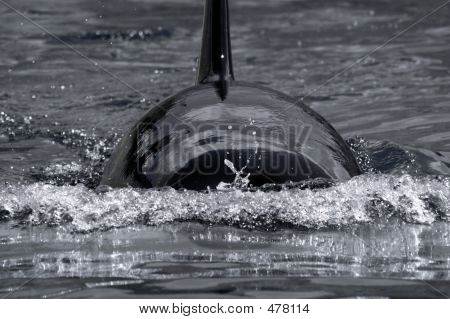Arriba y abajo