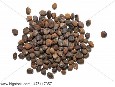 Radish Seeds On A White Background Close-up. Dry Seeds Top View. Pile Of Argula Seeds