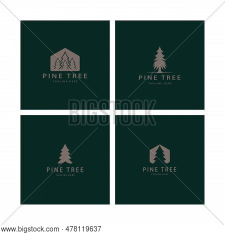 Simple Pine Or Fir Tree Logo,evergreen.for Pine Forest,adventurers,camping,nature,badges And Busines