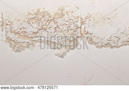 Indoor Efflorescence On The Moisture Building Surface Show Deposit Mineral Salt Crystalline That Cau
