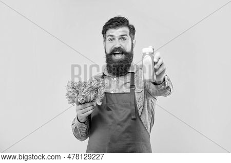 Happy Man Giving Juice Bottle Holding Fresh Lettuce Yellow Background, Juice Barkeeper