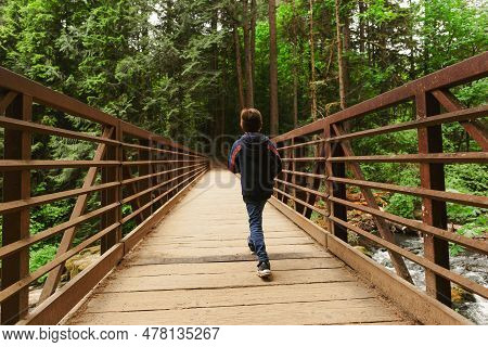 A Young Boy Explores The Lush Green Forest During A Summer Hike. Kid Walking Across A Rustic Wooden 