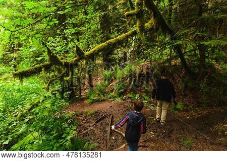Memorable Hiking Adventure Through The Swampy Challenging Terrain Of The Pacific Northwest. Lacamas 