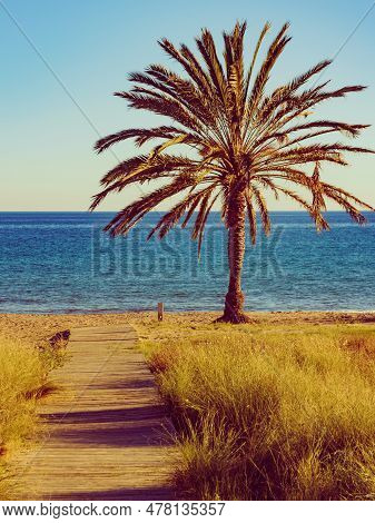 Percheles Beach, Murcia Region Spain. Mazarron Bay. Coastal Landscape With Palm Trees And Wooden Pat