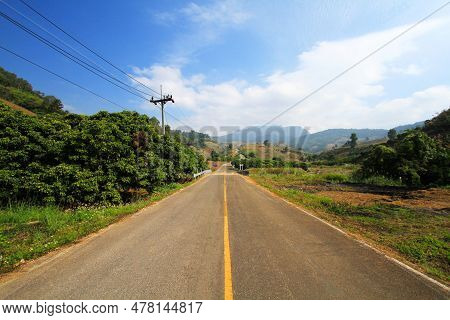 Direct Road Or Street In Urban With Electrical Pole, Trees, Blue Sky And Clouds. The Straight Way Fo
