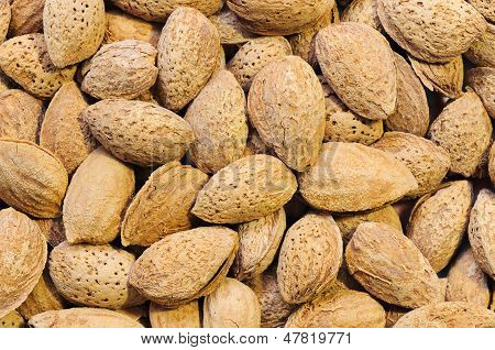 Gros plan amandes