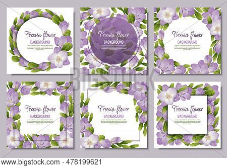 Set Of Postcards With Freesia Flowers. Beautiful Frame With Purple Flowers And Buds. Spring Card, Ba