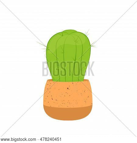 Prickly Cactus In A Ceramic Pot. A Desert Flower. A Houseplant. Vector Stock Illustration. Isolated 