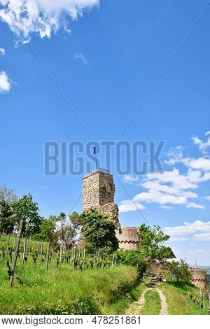 Wachenheim, Germany - May 2023: Spur Castle Ruin Called Wachtenburg In Rhineland-palatinate