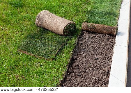 Landscaping Design, Improvement Of Territory In The Park. Rolls Of Turf Or Turfgrass. Natural Green 