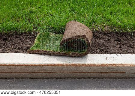 Roll-up Lawn Near Kerb. Landscaping Of Territory In The Park. Roll Of Turf Or Turfgrass, Close-up, S