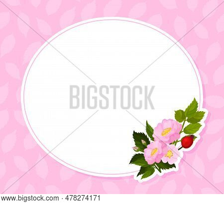 Empty Note Card With Dogrose Flower Pink Buds Vector Template
