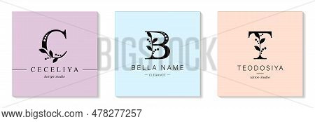 Bundle Of Botanical Minimalistic Logos. Monogram Of Letters C, B, T.