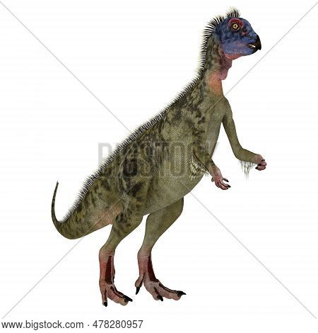 Hypsilophodon Feathered Dinosaur 3d Illustration - Hypsilophodon Was A Omnivorous Ornithopod Dinosau