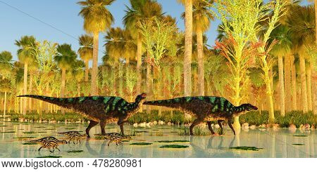 Maiasaura Dinosaurs Cross Swamp 3d Illustration - Two Maiasaura Hadrosaur Dinosaurs Escort Their You
