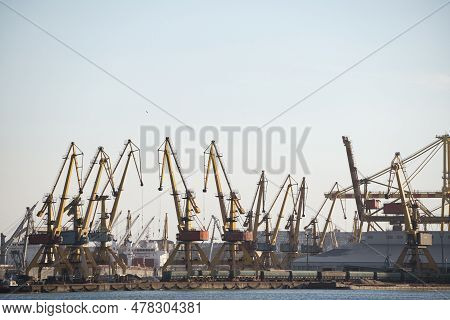 Container Terminal, With Cranes, In A Commercial Port