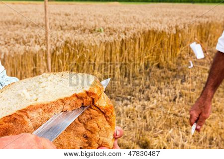 Tempo per il pane