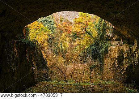The Landscape Inside The Cave. An Ecosystem With A River And Trees Inside A Rock.