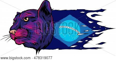 Vector Illustration Of Brazil Flag With Jaguar Head