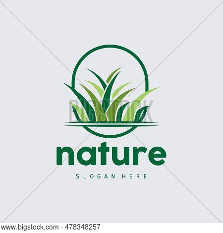 Green Grass Logo, Nature Plant Vector, Agriculture Leaf Simple Design, Template Icon Illustration