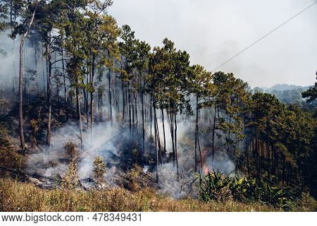 Forest Fire At Mountain. Smoke From A Fire. Countryside Forest With Fire Smoke From Wildfire. Wildfi
