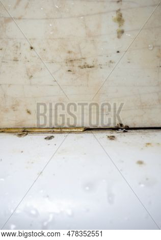 Plumbing. Mold In The Bathroom. Black Dots Of Mold And Yellow Plaque. Black Mold Dirt On Tiles. Requ