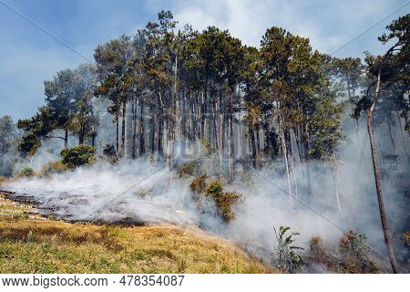 Forest Fire At Mountain. Smoke From A Fire. Countryside Forest With Fire Smoke From Wildfire. Wildfi