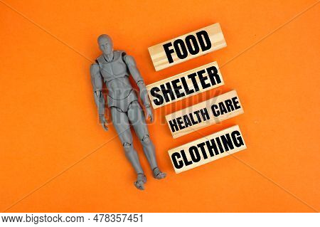 The Shape Of The Human Body And Wood With The Words Basic Human Needs, Namely Food, Clothing, Health