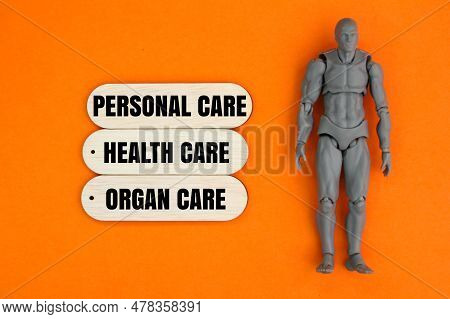 Human Body With The Words Personal Care, Health Care And Organ Care. Self Care Concept