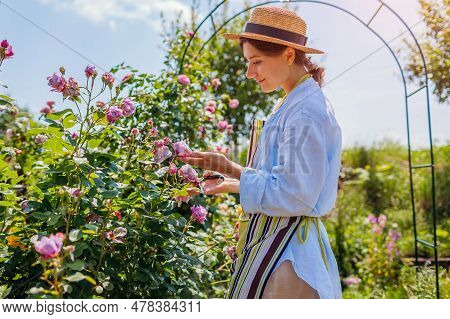 Young Happy Gardener Enjoys Blooming Roses Flowers In Summer Garden. Woman Relaxing Walking By Noval