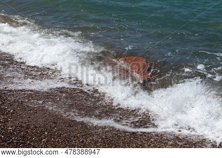 Wild Beach On The Seashore. Big Wave. Large Stone Under Water. Concept - Diving And Swimming In Uneq