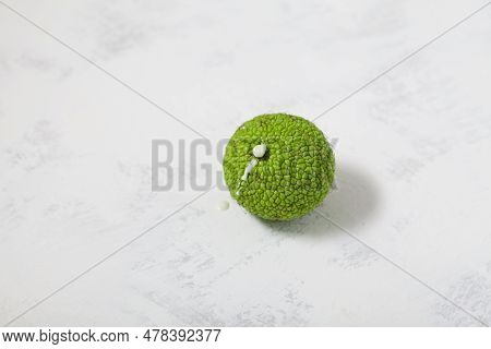 Maclura Pomifera Fruit On Light Grey Background, Selective Focus. Maclura Fruit Or Adam's Apple Used