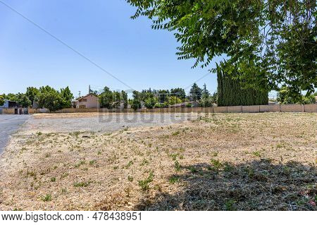 Photo Of A Vacant Field With Dead Grass And Trees And A Blue Sky