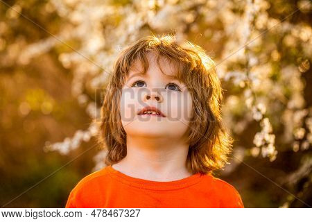 Child, Boy, Spring, Sun. Happy Little Boy Walking In Spring Garden. Spring Activity For Inquisitive 