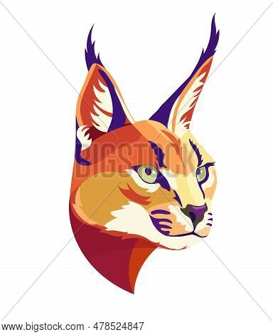 Caracal Wild Cat Isolated Vector Illustration