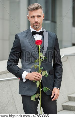 Elegant Man In Black Tux. Man Wearing Tux Bowtie Outdoor. Elegant Tux Man With Red Rose