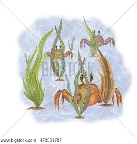 Watercolor Card For Children\\\'s Birthdays Isolated On White Background. Hand Painted Illustration 