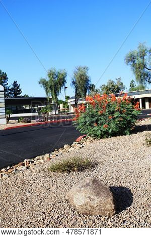 Arizona Desert Style Roadside Xeriscaping With Red Bird Of Paradise, Drought Tolerant Shrubs And Tre
