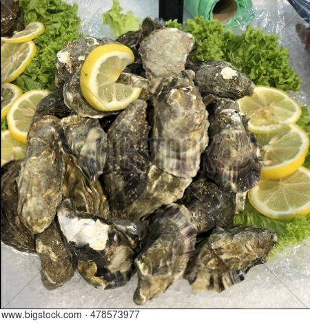 Macro Photo Fresh Oysters Dishes. Macro Photo Seafood Oysters With Lemon